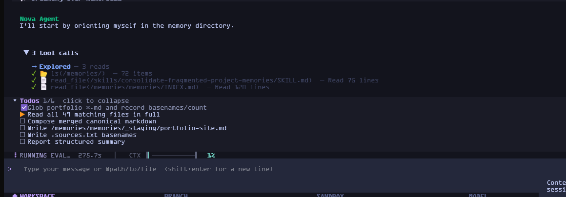 A Nova session: three tool calls collapsed into one row above a six-item todo checklist, with the status bar showing workspace, branch, sandbox, model and context usage.